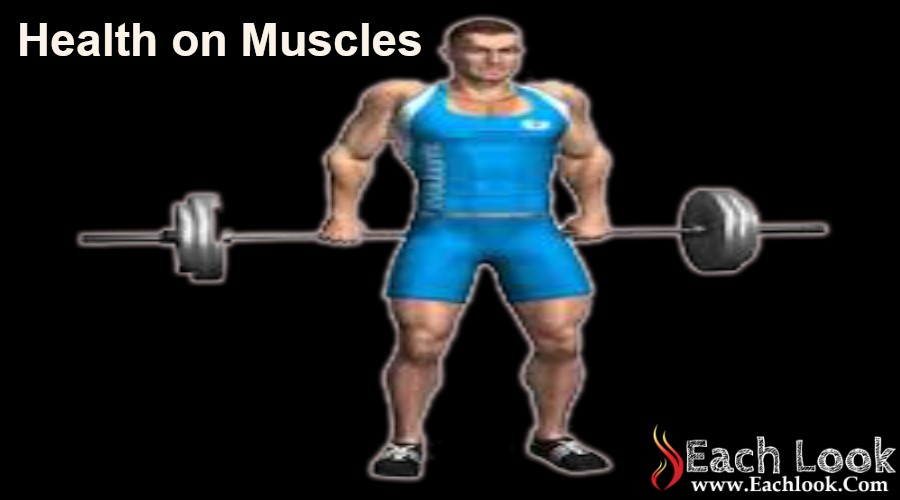 Health on Muscles